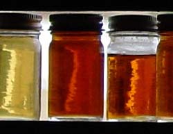 Maple Syrup Samplers