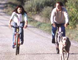Bike Ride, Cambridge