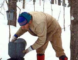 Sugaring at Carpenter Farm, Cabot