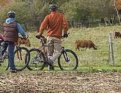 Fall Bike Ride, Stowe